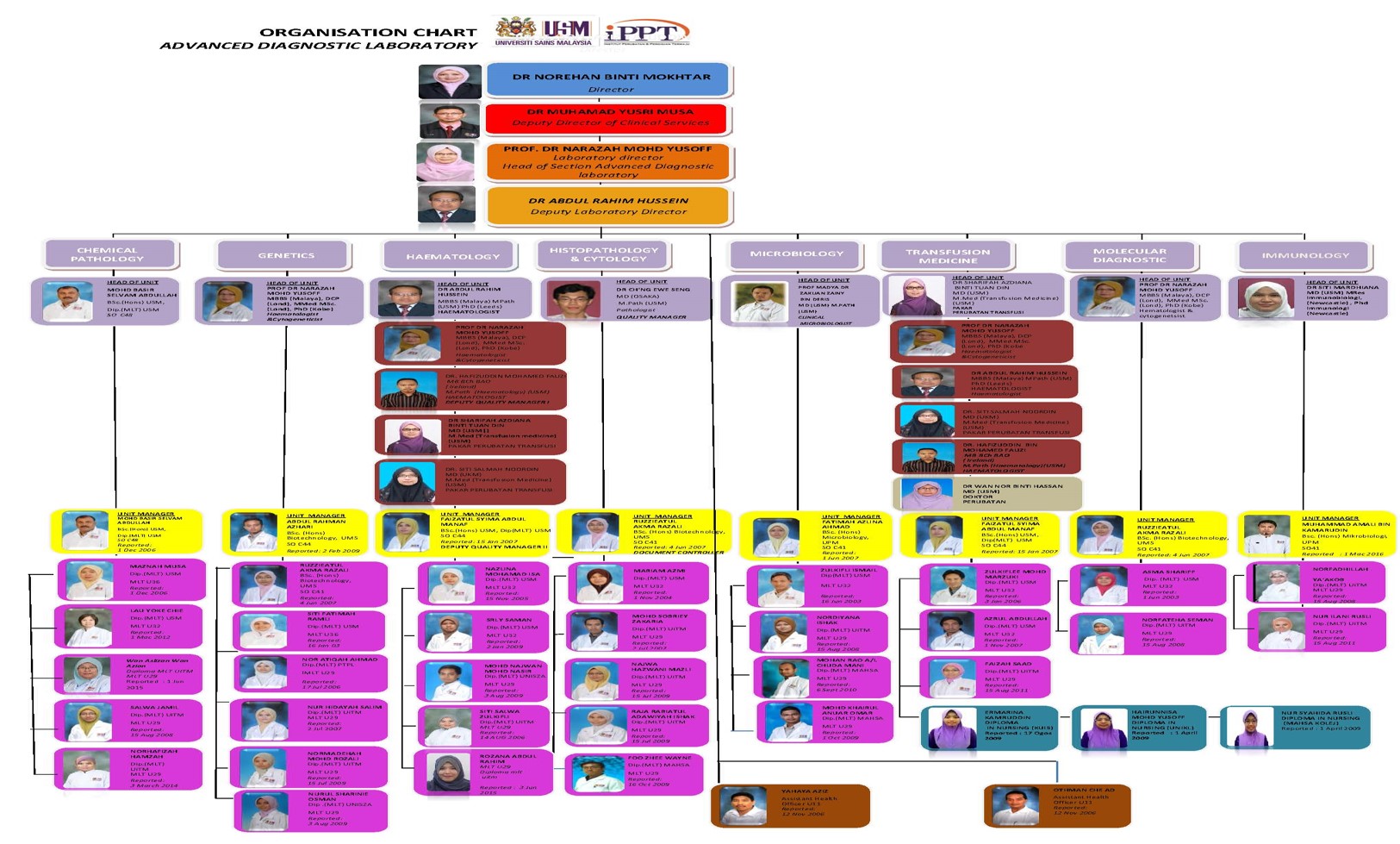 ADL Organization Chart